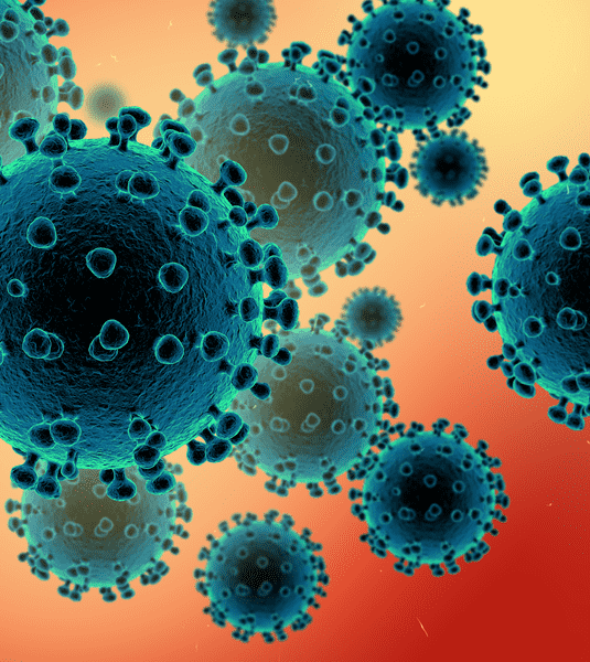 Coronavirus